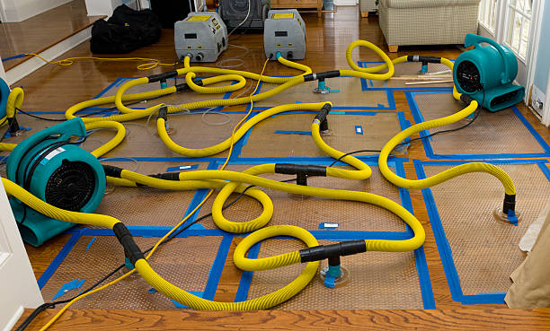 Professional Burst Pipe Water Damage technician working in Austerlitz, NY